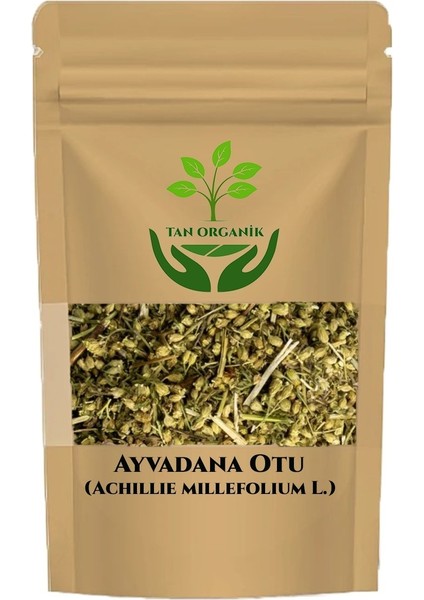 Ayvadana Otu 50gr