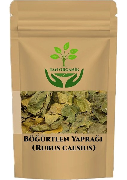 Böğürtlen Yaprağı 25gr