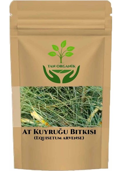 At Kuyruğu Bitkisi 50gr