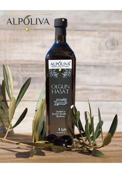 Olgun Hasat Naturel Sızma Zeytinyağı 1 lt