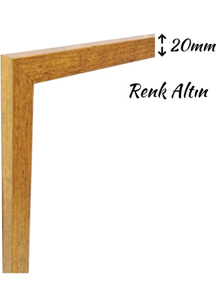 Poster Resim Evrak Diplpma Çerçevesi Renk Altın Ön Yüzeyinde Kırılmaz Pleksi Arka Destek Ahşap Mdf modelleri