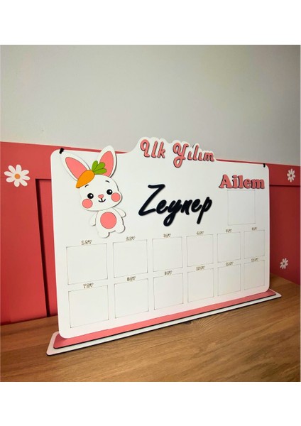 Kişiye Özel Isimli 3D 12 Ay Sevimli Tavşan Temalı Ahşap Doğum Günü Anı Panosu (Türkçe) modelleri