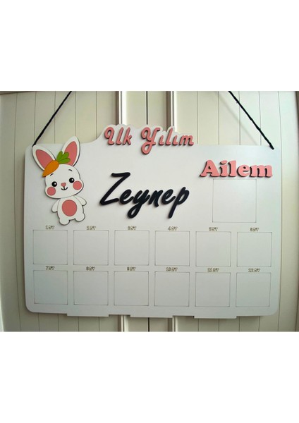 Kişiye Özel Isimli 3D 12 Ay Sevimli Tavşan Temalı Ahşap Doğum Günü Anı Panosu (Türkçe) fırsatları