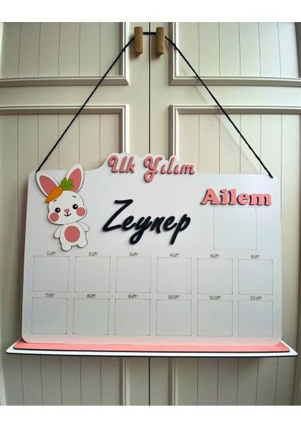 Kişiye Özel Isimli 3D 12 Ay Sevimli Tavşan Temalı Ahşap Doğum Günü Anı Panosu (Türkçe) indirimleri