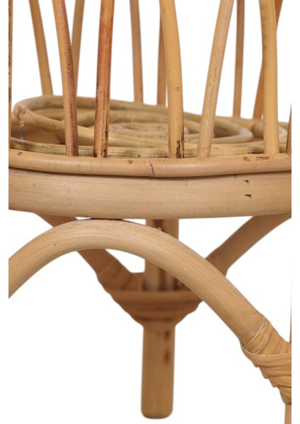 Oceanpoint Doğal Ahşap Dekoratif Saksılık, Iç Mekan ve Bahçe Saksı Standı, El Yapımı, Iskandinav Tarz, 38 cm