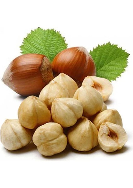 Kavrulmuş Fındık 500 gr