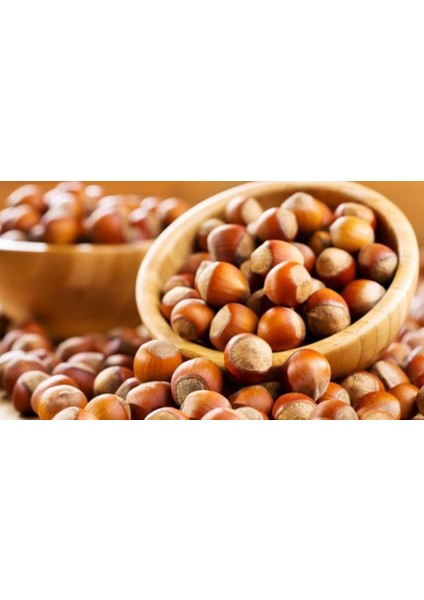 Kavrulmuş Fındık 500 gr