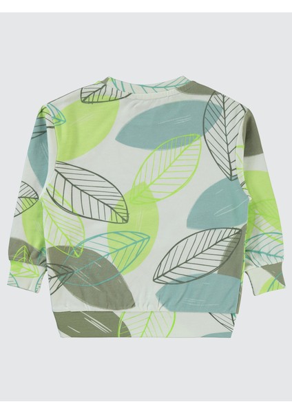 Erkek Çocuk Sweatshirt 2-5 Yaş Açık Çağla Yeşili fiyatları