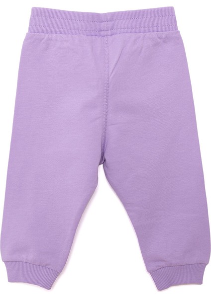 Basic Kız Eşofman Alt Kız Bebek