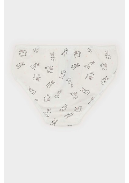 Kız Çocuk Desenli 3'lü Slip Külot E7068A825SP