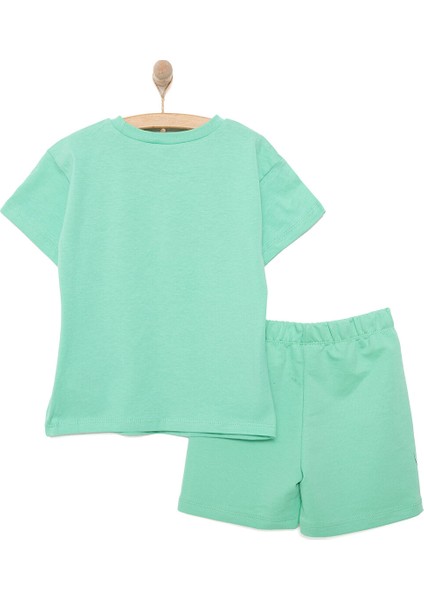 Mickey Mouse Erkek Tshirt-Şort Erkek Bebek fiyatları