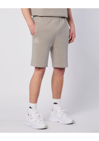 Pronton Short Erkek Gri Regular Fit Şort