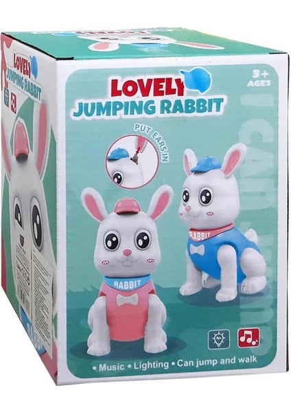 Robot Yuruyen Tavsan Seslı Muzıklı (232)