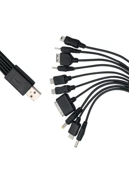 10'lu USB Çoklu Şarj Aleti