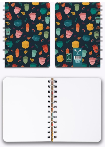 Muus Acorns 12X16 Fsc Mıx Credıt GFA-COC-007196 fırsatları