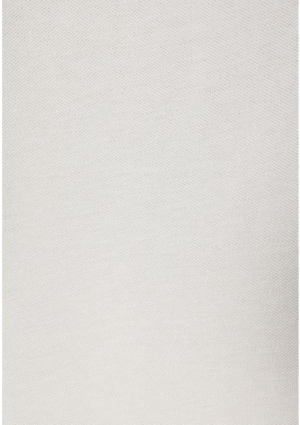 Regular Fit Polo Yaka Düz Erkek Yeşil Kısa Kol Tişört CL1073960 indirimleri