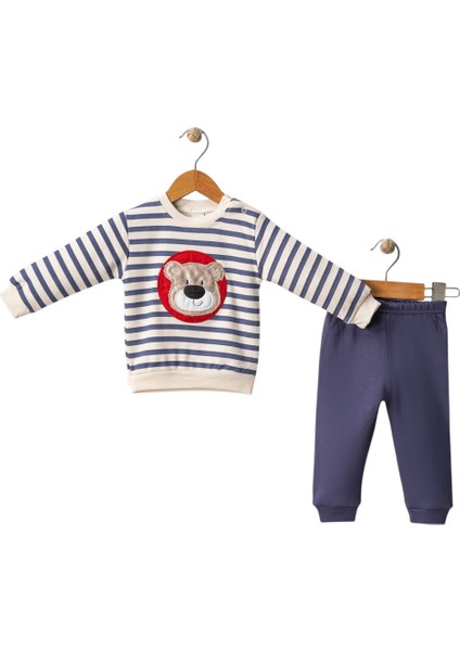 Erkek Bebek Çizgili Ayı Takım fiyatları