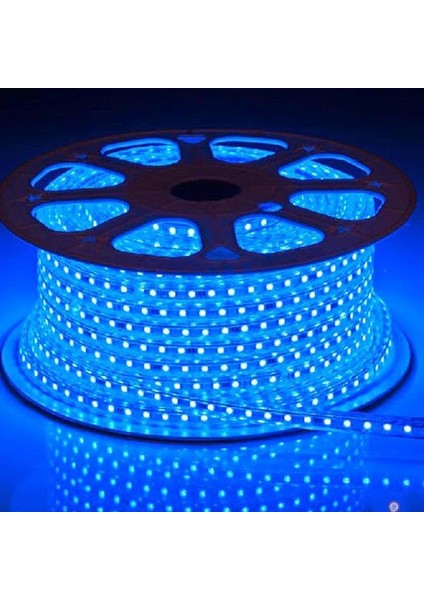 9-16 100 Metre Mavi Hortum LED modelleri