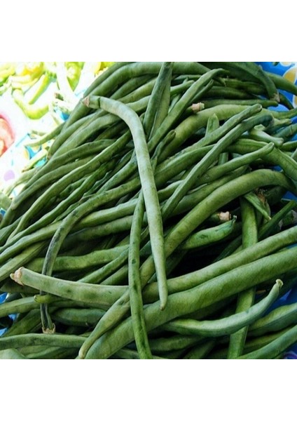 Ata Tohum Geleneksel Sırık Börülce Tohumu (20 Tohum)