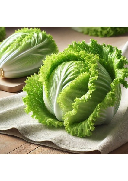 Geleneksel Tohumlar Buzdağı Iceberg Marul Tohumu (200 Tohum)