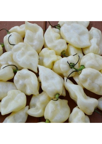 Fatali White Acı Biber Tohumu (15 Tohum)