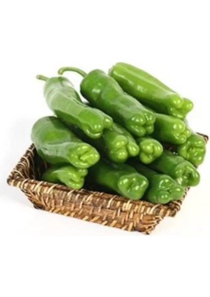 Geleneksel Tatlı Üç Burun Biberi Tohumu (70 Tohum)