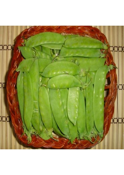 Ata Tohumu Geleneksel Yaprak Bezelye Tohumu (20 Tohum)