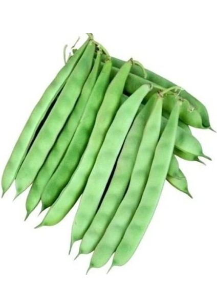 Doğal Kılçıksız Edanaz Oturak Fasulye Tohumu (20 Tohum)