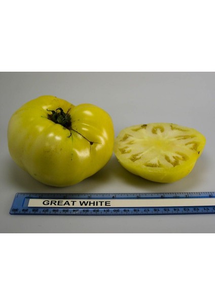 Doğal Great White Domates Tohumu (20 Tohum)