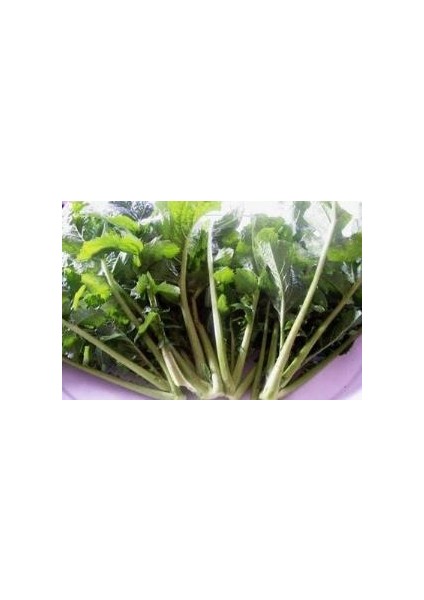 Doğal Hardal Otu TOHUMU(100 Tohum)