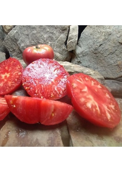 Olive Hill Etli Domates Tohumu (15 Tohum) fiyatları