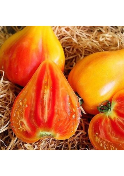 Striped Oxheart Fire Etli Beef Kalp Şeklinde Domates Tohumu (10 Tohum)