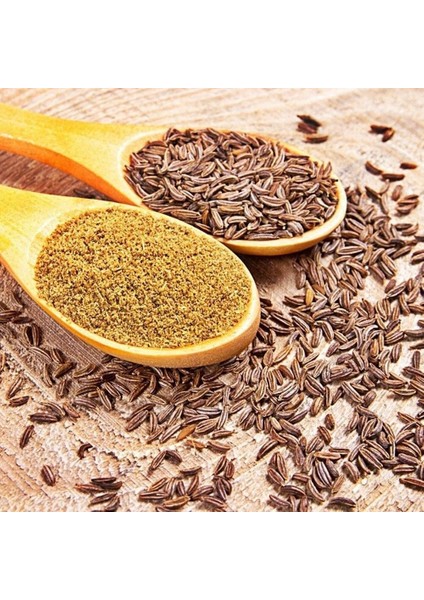 Ata Tohum Geleneksel Kimyon TOHUMU(100 Tohum)