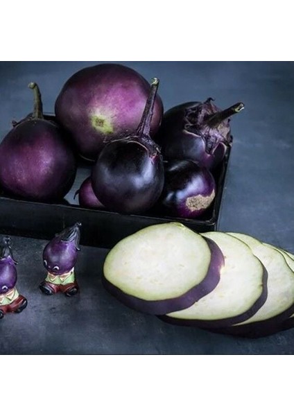 Kamo Patlıcan Tohumu (15 Tohum)