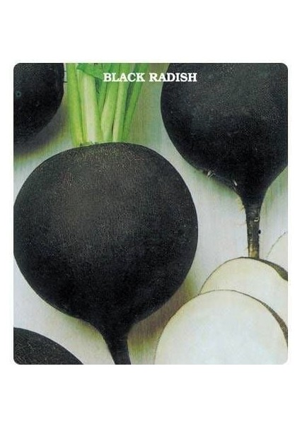 Geleneksel Anadolu Siyah Turp Tohumu (50 Tohum)