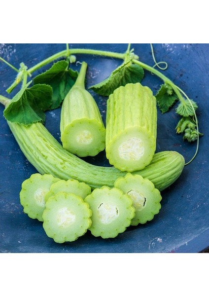 Iri Meyveli Armenian Acuru Tohumu (20 Tohum)