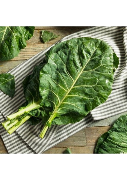 Ata Tohum Sarmalık Dolmalık Karadeniz Kara Lahanası Tohumu (100 Tohum)