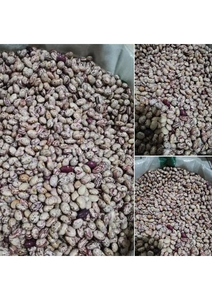 Ata Tohumu Anadolu Artvin Kara Sırık Barbunya Tohumu (10 Tohum)