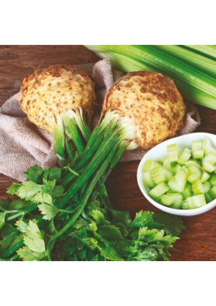 Geleneksel Ata Tohum Iri Kök Kereviz Tohumu (100 Tohum)