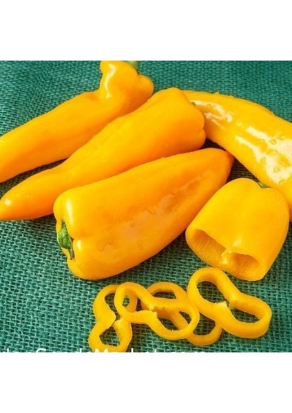 Nadir Ata Tohum Geleneksel Acı Yellow Jalapeno Biber Tohumu (10 Tohum)