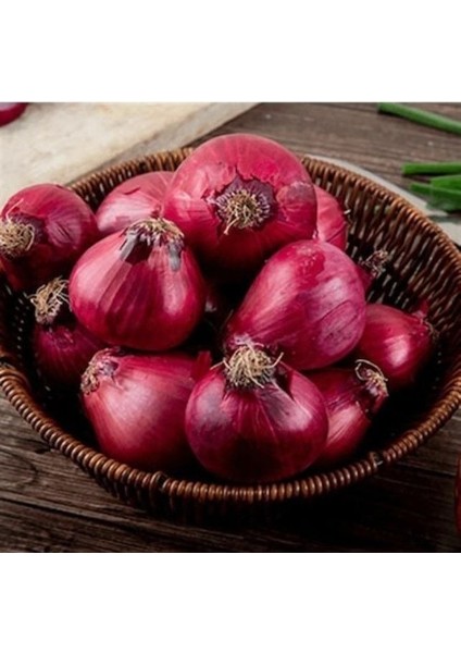 Ata Tohum Geleneksel Yüksek Aromalı Ata 19 Kırmızı Çorum Tipi Soğan Tohumu(50 Tohum)