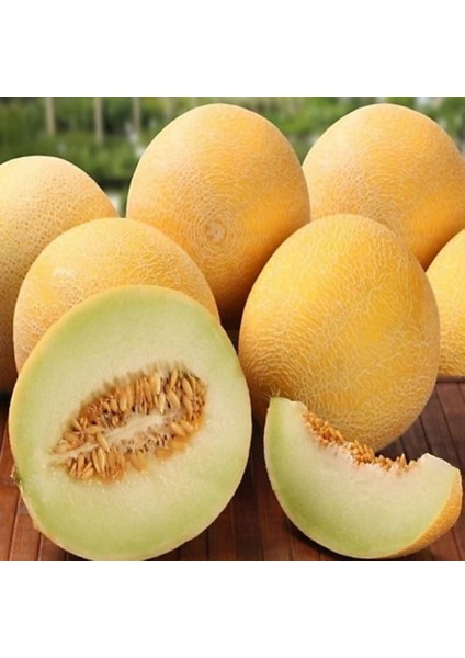 Geleneksel Ata Tohum Yoğun Kokulu Toros Sarıbal Tohumu (20 Tohum)