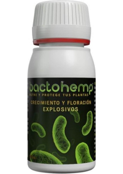 Bactohemp 50 G Bitki Besini
