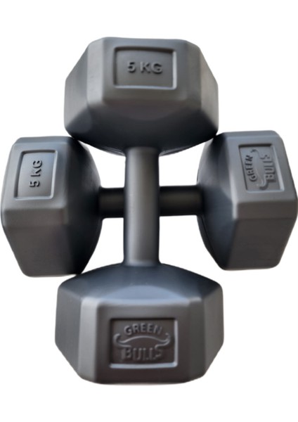 5kg Dambıl Seti ( Demir tozu dolgulu )