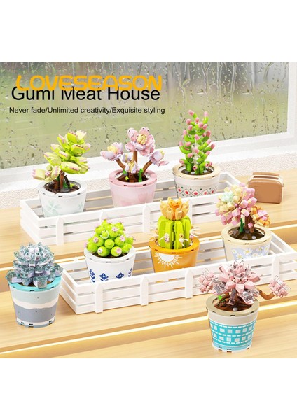 Loveseason Bu, Yaklaşık Iki Yüz Mini Yapı Taşından Oluşan, Renkli, Ilginç, Romantik ve 123465 Dolu, Etli Bir Bonsai Bitkisidir. (Yurt Dışından)