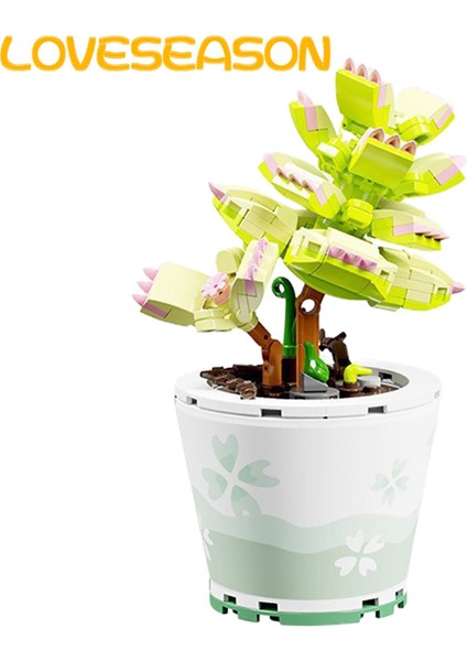 Loveseason Bu, Yaklaşık Iki Yüz Mini Yapı Taşından Oluşan, Renkli, Ilginç, Romantik ve 123465 Dolu, Etli Bir Bonsai Bitkisidir. (Yurt Dışından)
