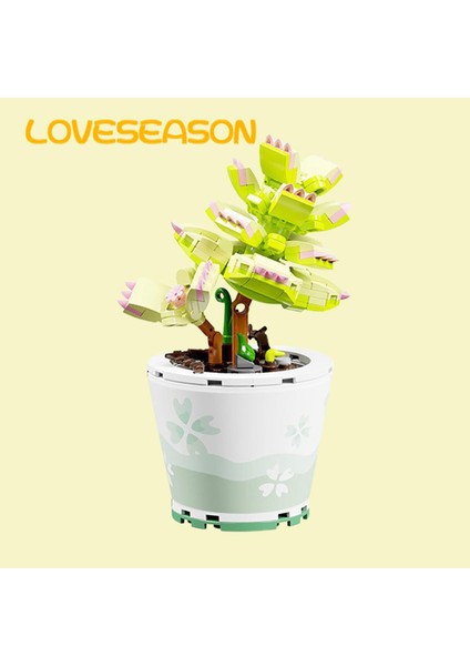 Loveseason Bu, Yaklaşık Iki Yüz Mini Yapı Taşından Oluşan, Renkli, Ilginç, Romantik ve 123465 Dolu, Etli Bir Bonsai Bitkisidir. (Yurt Dışından)
