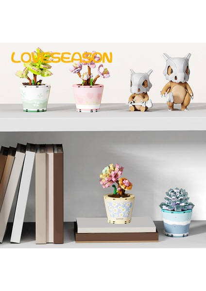 Loveseason Bu, Yaklaşık Iki Yüz Mini Yapı Taşından Oluşan, Renkli, Ilginç, Romantik ve 123465 Dolu, Etli Bir Bonsai Bitkisidir. (Yurt Dışından)