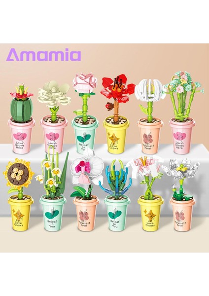 Amamia Bitki Yapı Taşları Büyük Sadakat Lotus Çiçeği Botanik Koleksiyonu Bonsai Yapı Taşları (Yurt Dışından)