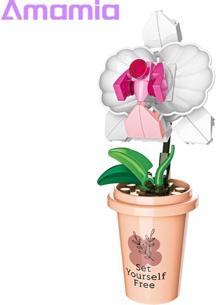 Amamia Bitki Yapı Taşları Büyük Sadakat Lotus Çiçeği Botanik Koleksiyonu Bonsai Yapı Taşları (Yurt Dışından)